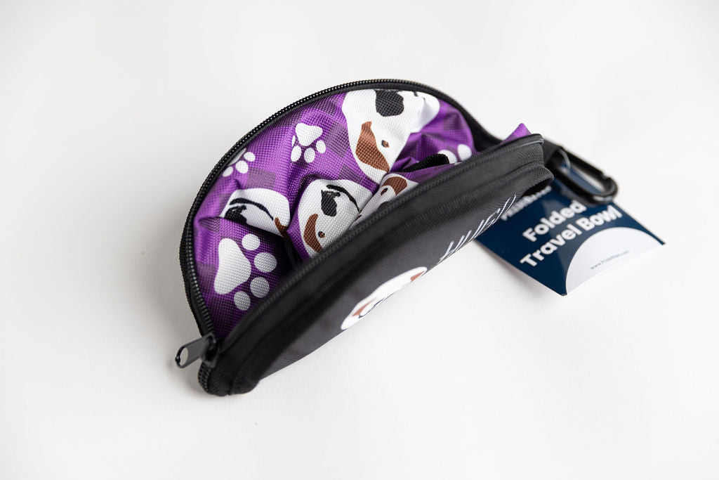 Hugo Travel Dog Bowl