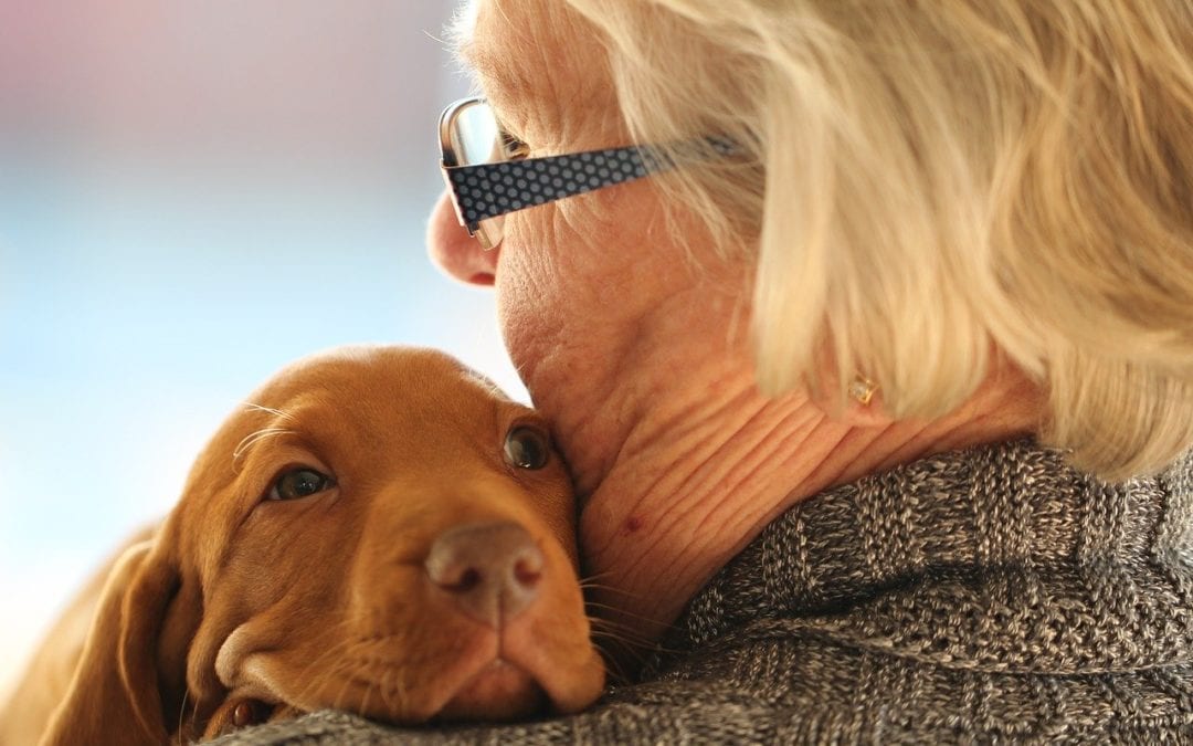 5 Ways Keeping Pets Will Help Your Health