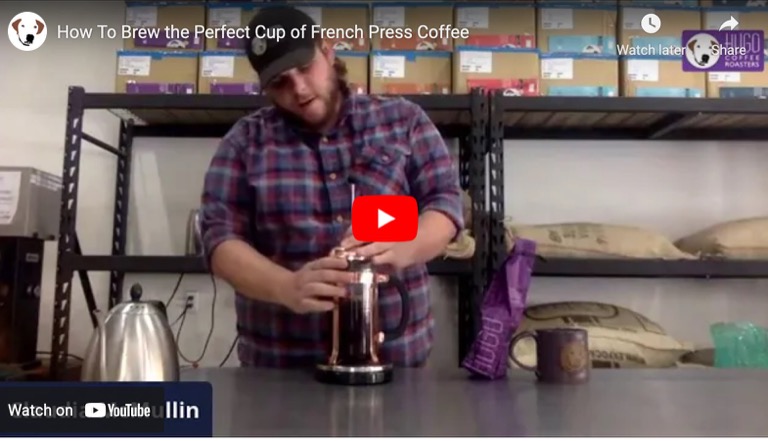 How To Brew the Perfect Cup of French Press Coffee