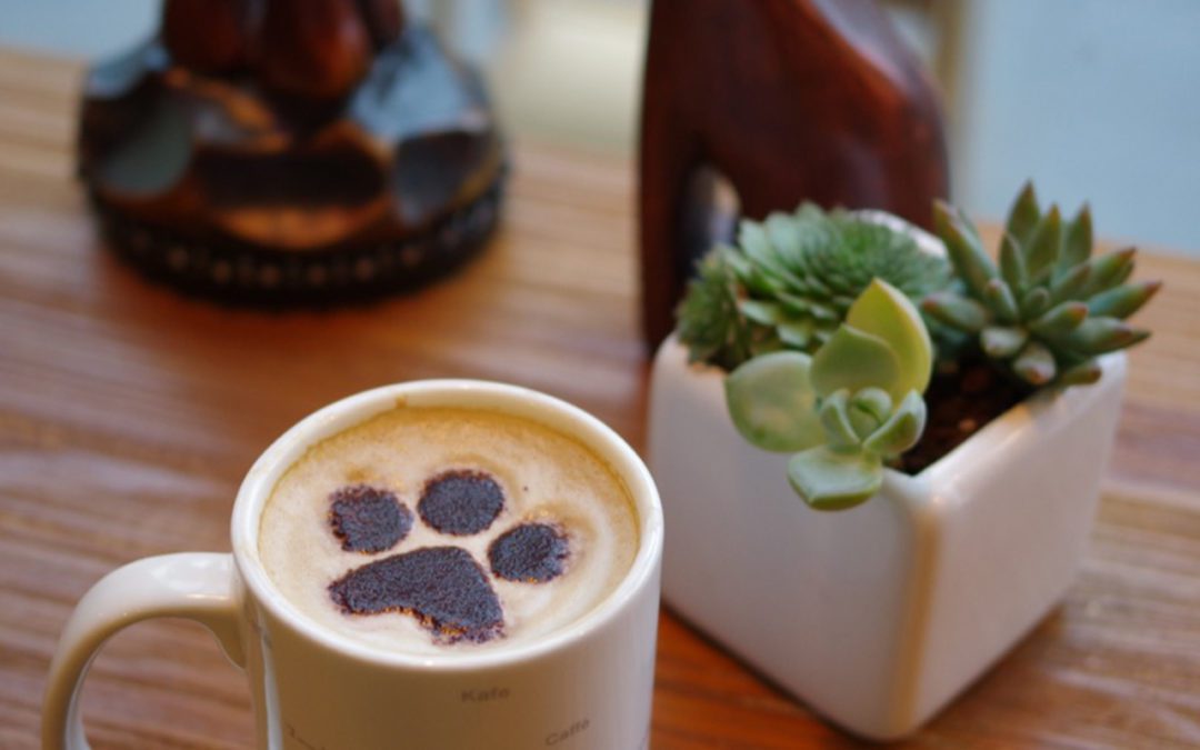 Coffee & Dog Blog